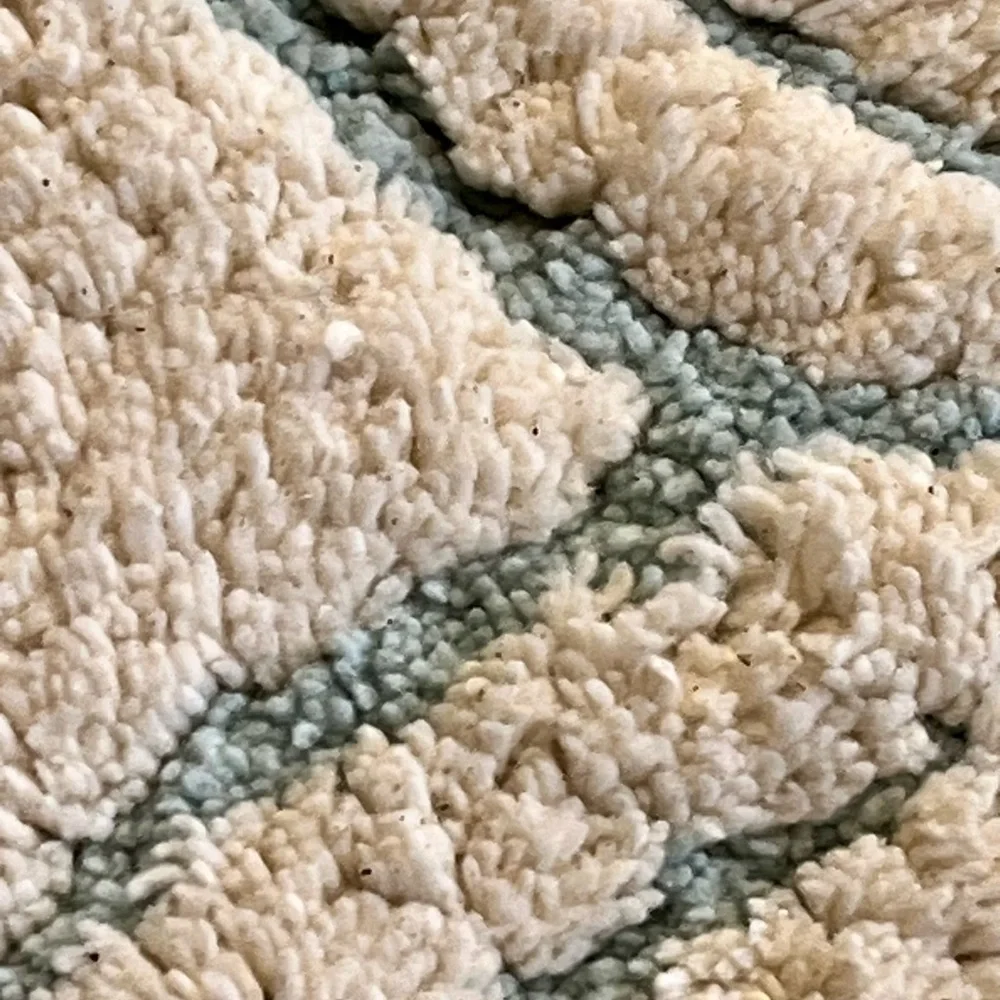 NEW Elegant Cream and Blue Bath Rug